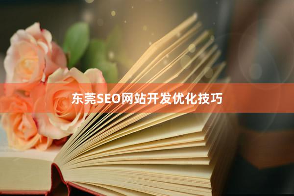 东莞SEO网站开发优化技巧